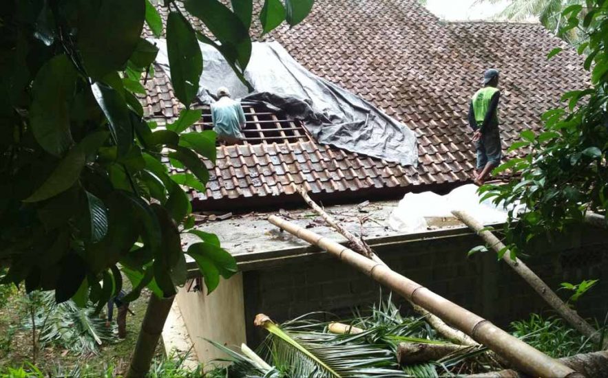 Pohon tumbang menimpa rumah