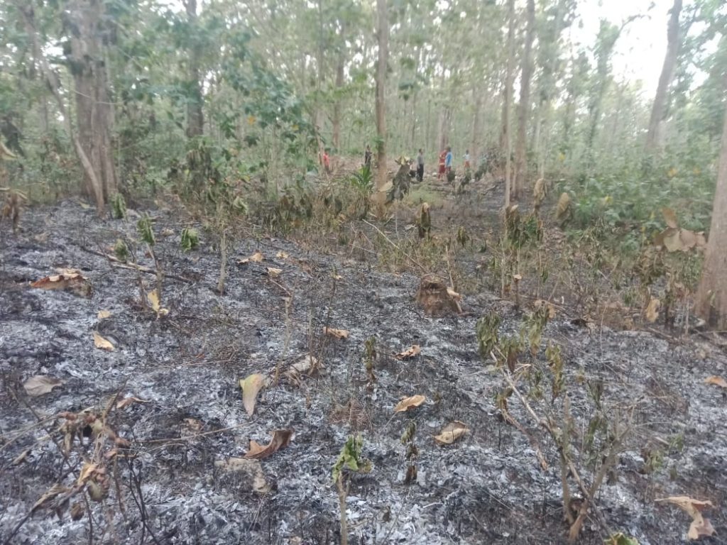 Kebakaran lahan di Sidamulih