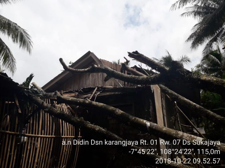 Rumah Terimpa Pohon Tumbang