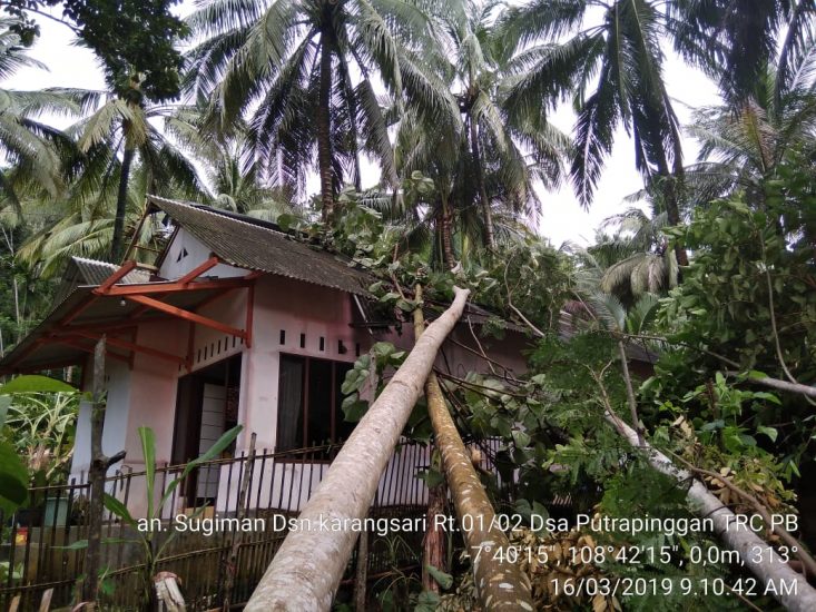 Rumah Tertimpa Pohon atas nama Sugiman Dusun Karangsari Rt.01 Rw.02 Desa Putrapinggan 