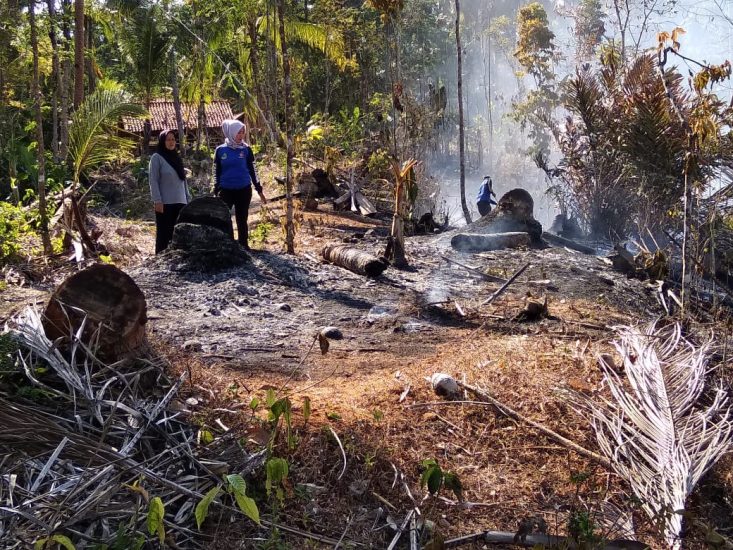 Kebakaran du Cintakarya