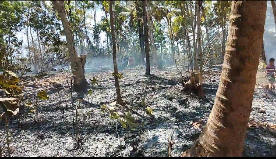 Kebakaran Lahan di Batukaras