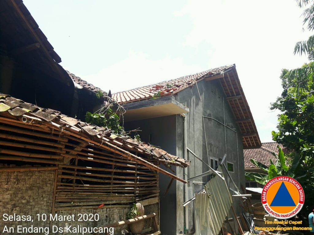 Assessment pohon tumbang di kalipucang