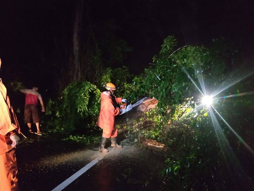 Hasil Assessment Kejadian Pohon Tumbang. Sabtu, 18 April 2020