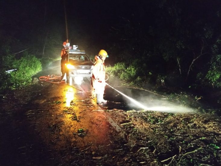 Hasil Assessment Kejadian Pohon Tumbang. Sabtu, 18 April 2020